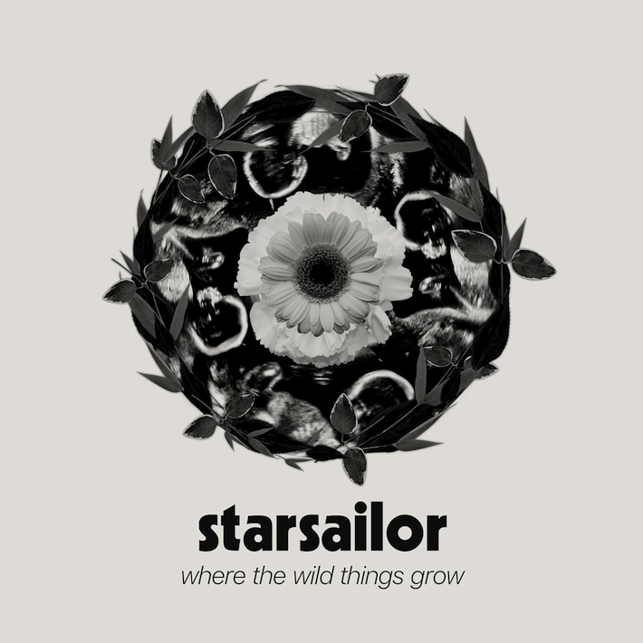 Starsailor - Where the wild things grow, 1CD, 2023