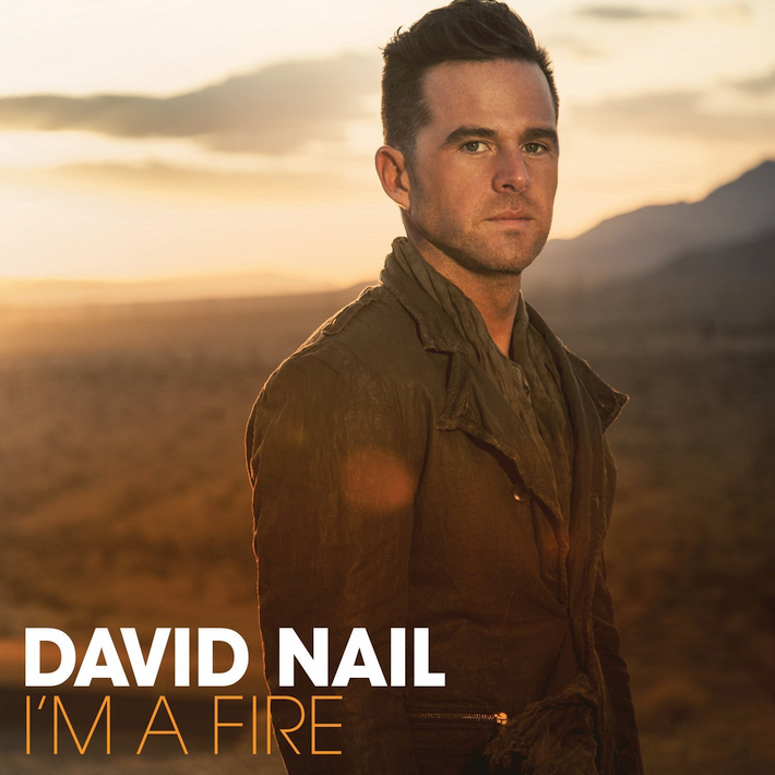 David Nail - I'm a fire, 1CD, 2014