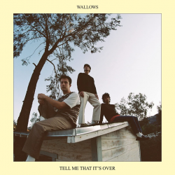 Wallows - Tell me that it's...