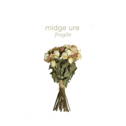 Midge Ure - Fragile, 1CD, 2014