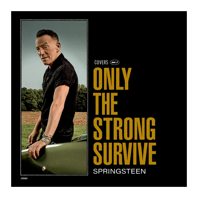 Bruce Springsteen - Only the strong survive, 1CD, 2022