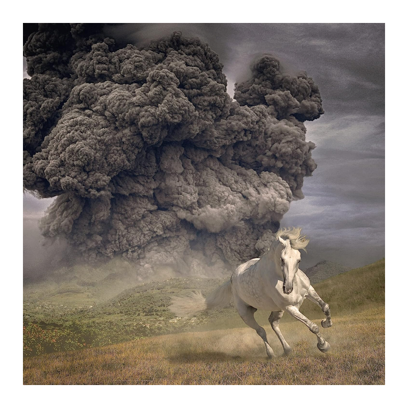 The White Buffalo - Year of the dark horse, 1CD, 2022