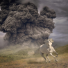 The White Buffalo - Year of the dark horse, 1CD, 2022