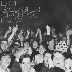 Liam Gallagher - C'mon you...