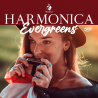 Kompilace - Harmonica evergreens, 2CD, 2021