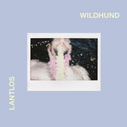 Lantlôs - Wildhund, 1CD, 2021