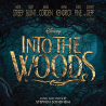 Soundtrack - Into the woods-Čarovný les, 1CD, 2014
