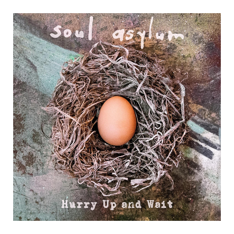 Soul Asylum - Hurry up and wait, 1CD, 2020