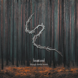 Lunatic Soul - Through shaded woods, 1CD, 2020