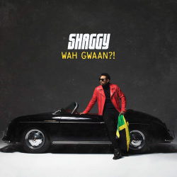 Shaggy - Wah gwaan?!, 1CD,...