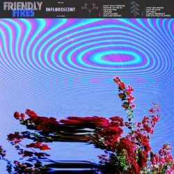 Friendly Fires -...