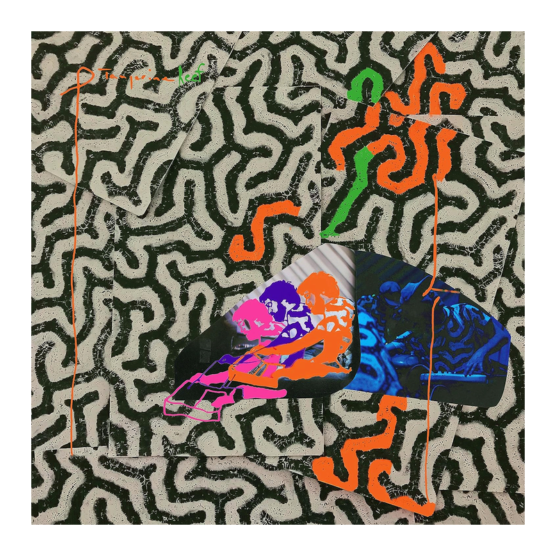 Animal Collective - Tangerine reef, 1CD, 2018