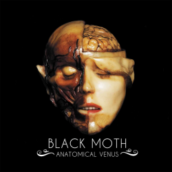 Black Moth - Anatomical...