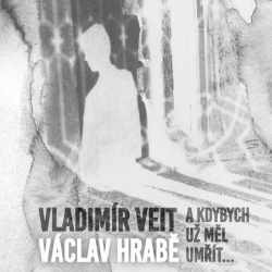 Vladimír Veit - A kdybych...