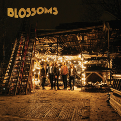 Blossoms - Blossoms, 1CD, 2016