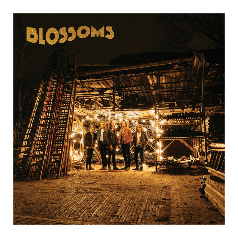 Blossoms - Blossoms, 1CD, 2016