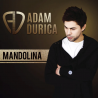 Adam Ďurica - Mandolína, 1CD, 2015