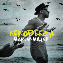 Marcus Miller - Afrodeezia,...
