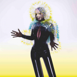 Björk - Vulnicura, 1CD, 2015