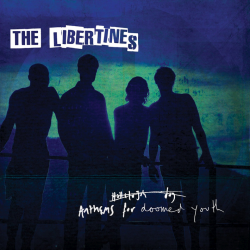 The Libertines - Anthems for doomed youth, 1CD, 2015