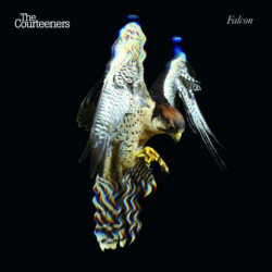 The Courteeners - Falcon,...