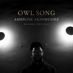 Ambrose Akinmusire - Owl...