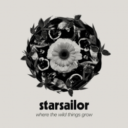 Starsailor - Where the wild...