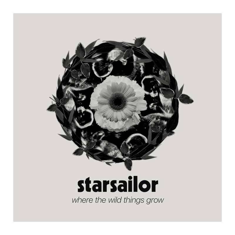 Starsailor - Where the wild things grow, 1CD, 2023