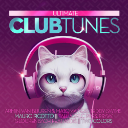 Kompilace - Ultimate club...